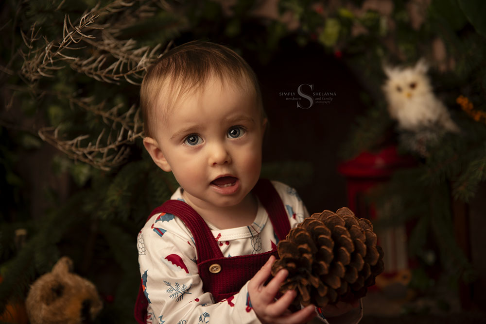 A young boy holds a giant pine cone for a portrait surrounded by woodland creatures with Simply Shelayna milestone photographer in Syracuse NY.