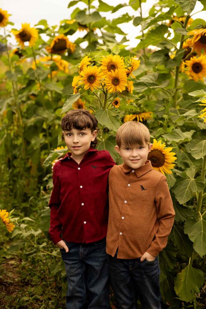 Two brothers pose together in a field of sunflower portraits with Simply Shelayna Family Photography in CNY.