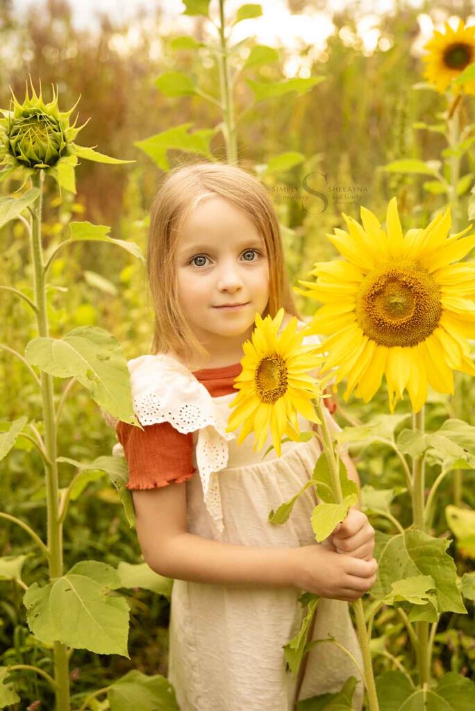A young girl poses in a sunflower field with Simply Shelayna Family Photographer in CNY.