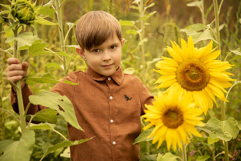 A young boy stands in between some short sunflowers with Simply Shelayna Family Photography in CNY.