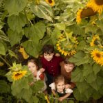 Syracuse Family Photographer | Sunflower Field Portraits