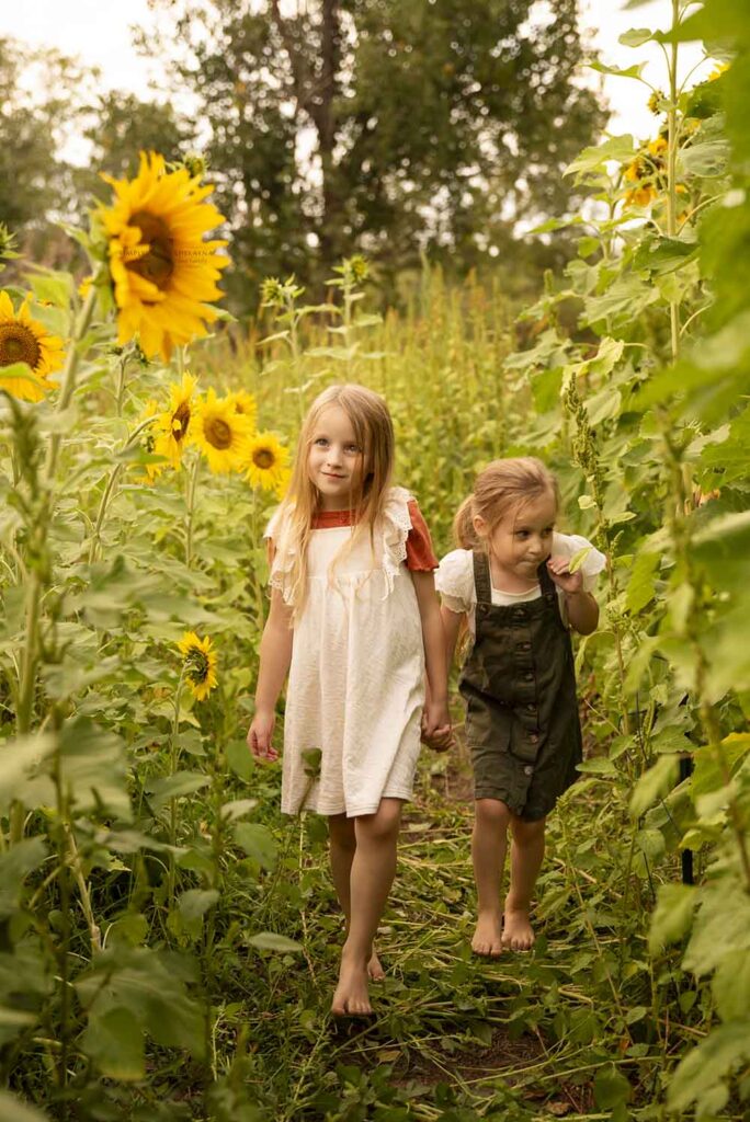 Two sisters walk through a row of sunflowers with Simply Shelayna Family Photography in Oswego NY. 