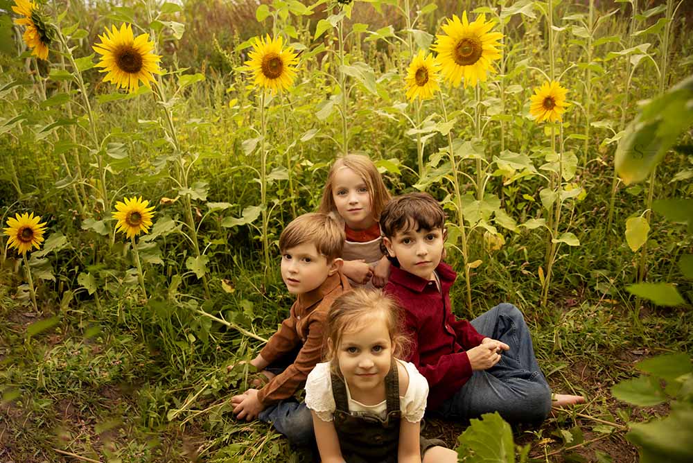 A group of children pose in a hand planted sunflower field with Simply Shelayna Family Photography in Syracuse, NY.