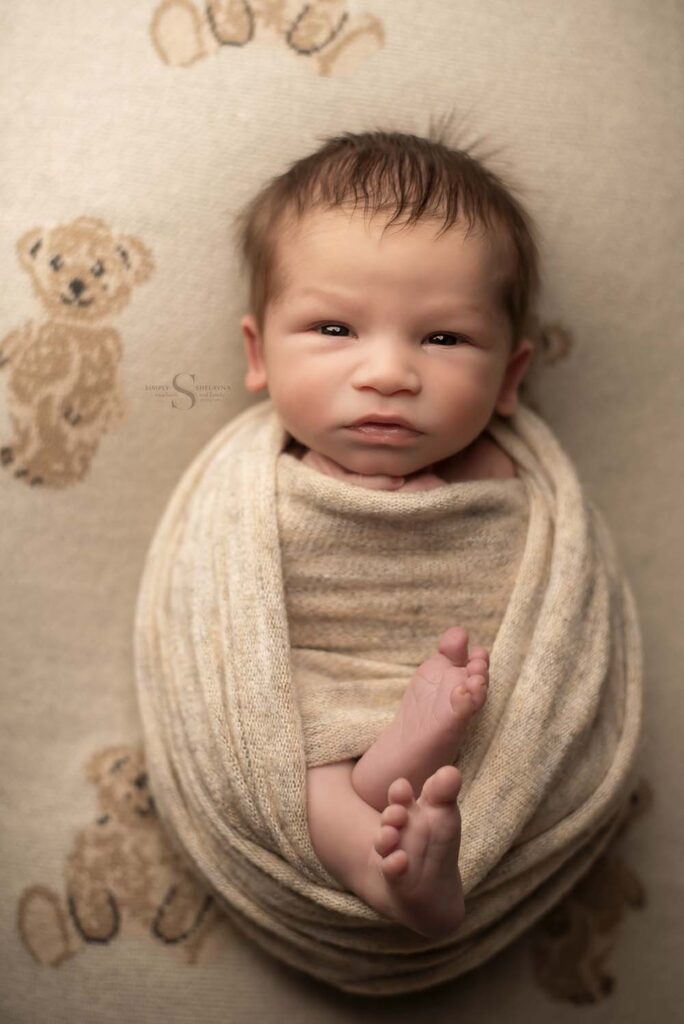 A newborn boy, wrapped in an eggshell pose lies on his teddy bear blanket for a portrait with Simply Shelayna Newborn Photography in CNY.