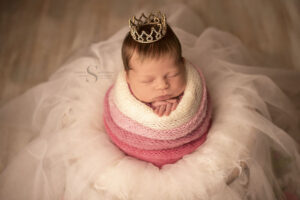 Read more about the article Oswego Newborn Photographer | Gabriella’s Session